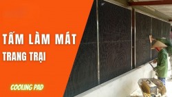 Top 10 Đơn Vị Bán Tấm Làm Mát Trang Trại