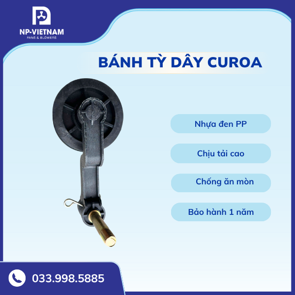 Bành tỳ dây Curoa