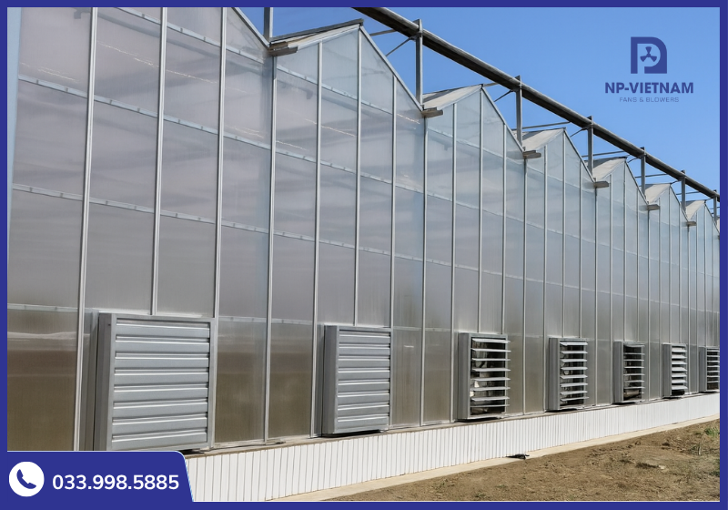 Quạt được sử dụng thông gió, làm thoáng vườn ươm, nhà kính trồng rau, hoa...