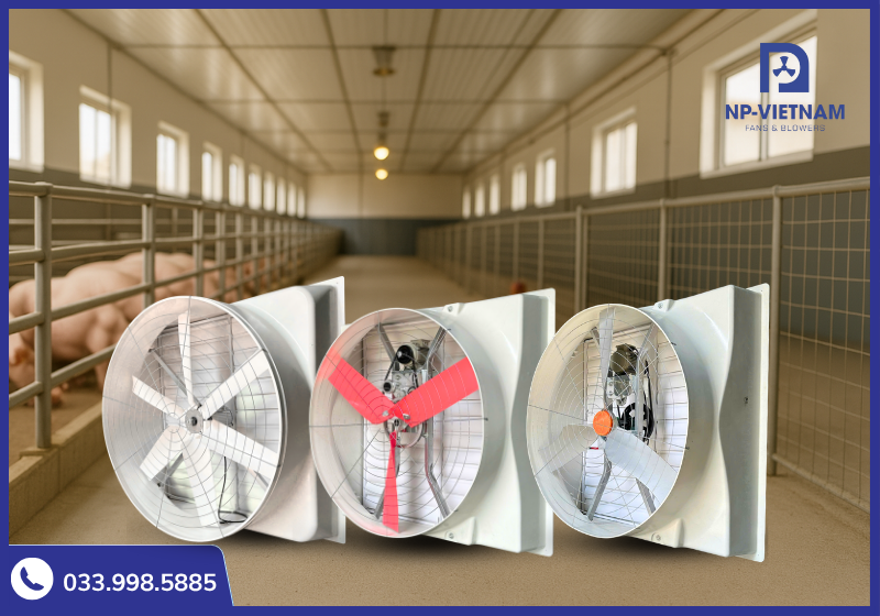 Quạt hút composite có nhiều phân loại khác nhau