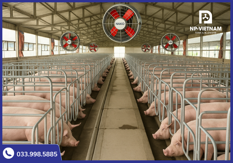 Sản phẩm được ứng dụng trong hút mùi, thông gió trang trại heo