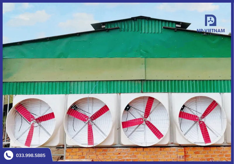 Quạt hút công nghiệp NAKO hỗ trợ trao đổi không khí trong không gian trang trại, nhà kính